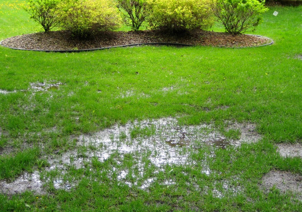 Septic Tank in Storm - Mathis & Sons