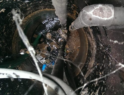 Who to Call for Septic Tank Problems? Plumber vs. Septic Contractor