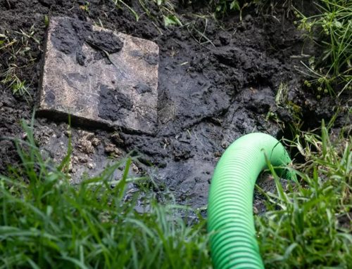 Slow Drains, Gurgling Toilets, and Other Warning Signs of Septic Trouble